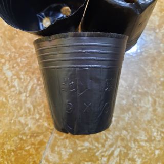 túi ươm cây như dẻo 9x9 cao 7.5cm, đường kính miệng 8.5cm