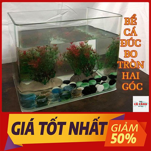 Bể Cá Cảnh Đúc Mini Bể (  26cm x 15cm x 18cm) Bo Tròn Hai Góc Cao Để Bàn Cao Cấp