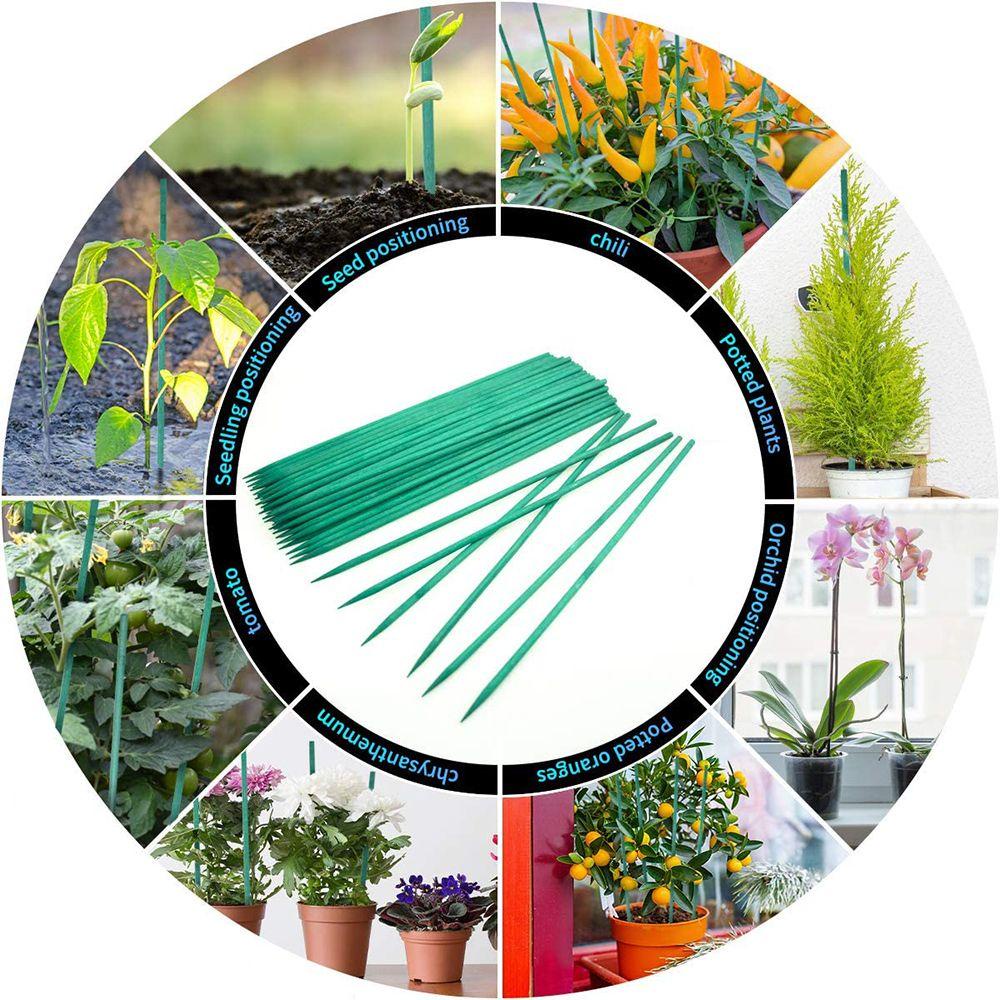YOLA 10 / 30 Gậy Hỗ Trợ Trồng Cây Dây Leo Tiện Lợi