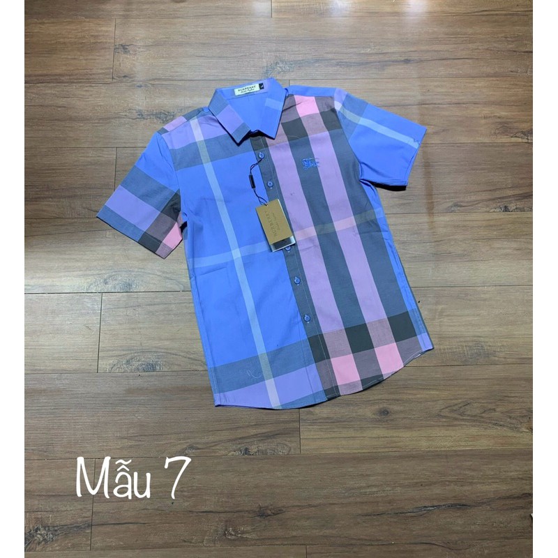 Áo sơ mi cộc kẻ bbr new hot💥 | BigBuy360 - bigbuy360.vn