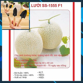 Hạt giống Dưa Lưới Tròn 10 Hạt TẶNG BỘ LÀM VƯƠN MINI