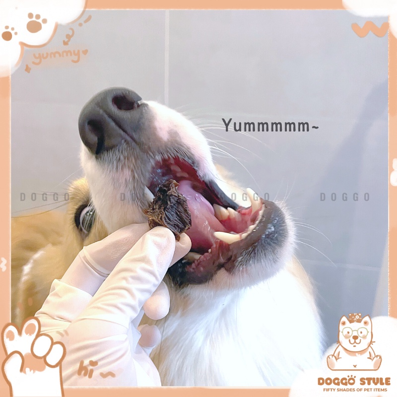 Treat Bánh Thưởng Cho Chó Thịt Bò Tươi Sấy Khô Viên Nhỏ Thích Hợp Training DOGGOSTYLE Homemade Không Chất Bảo Quản 25G