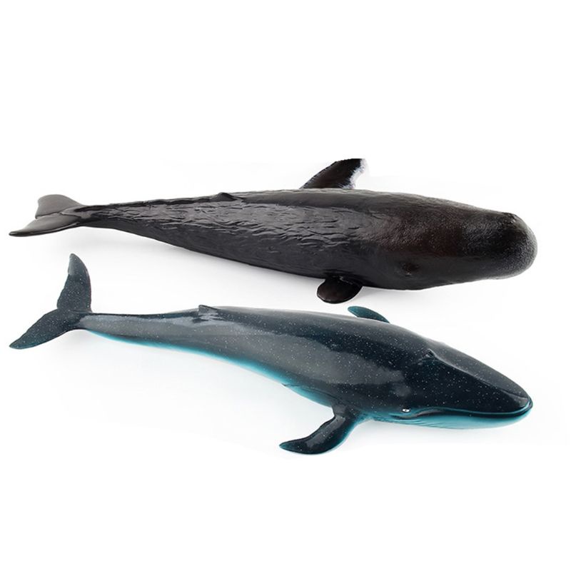 Mô Hình Cá Voi Đồ Chơi Cho Bé