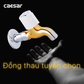 Vòi Lạnh Gắn Tường - W037C