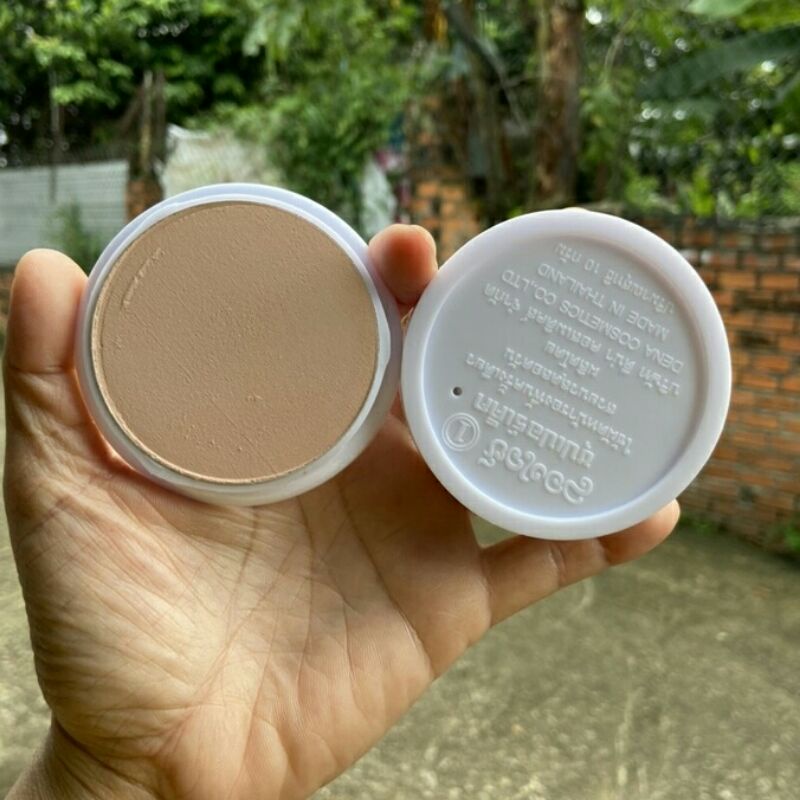 PHẤN CON ÉN VÀ BÔNG LÚA THÁI LAN