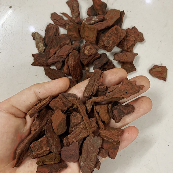 Vỏ thông đỏ xay (đã xử lý) size 1-2 cm – Túi 1kg