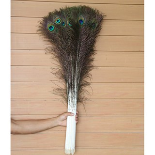 COMBO 10 LÔNG CÔNG TỰ NHIÊN DÀI 80CM
