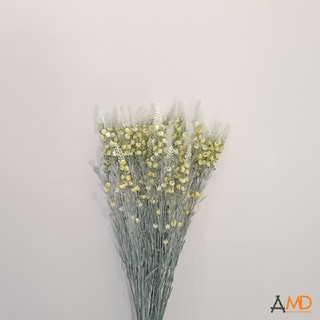 Hoa Baby Phấn Trang Trí Tết 5