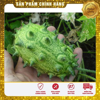 Hạt Giống Dưa Chuột Gai (5 Hạt)