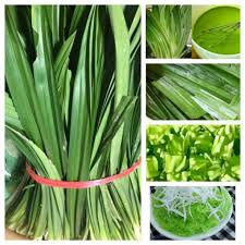 Lá nếp thơm / Lá dứa tươi - GIA VỊ THIÊN NHIÊN