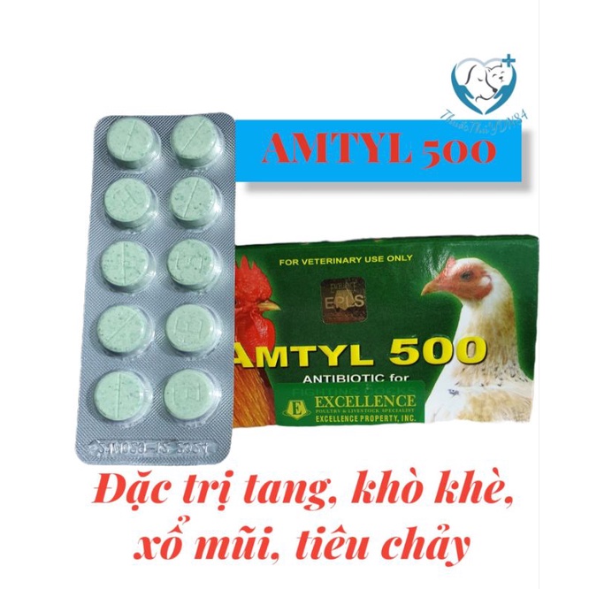 VỈ 10 VIÊN AMTYL 500 TỔNG HỢP GÀ ĐÁ TỤ HUYẾT TRÙNG, TÍM MỒNG