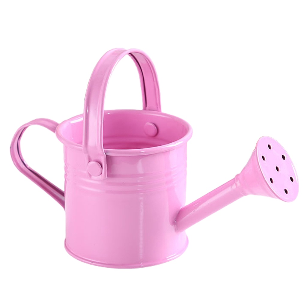 Bình Xịt Nước Tưới Cây Bằng Sắt Cỡ Lớn Có Tay Cầm Dài Tiện Dụng