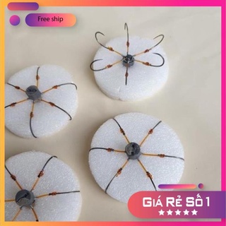 🐠 lữoi câu lục 🐠