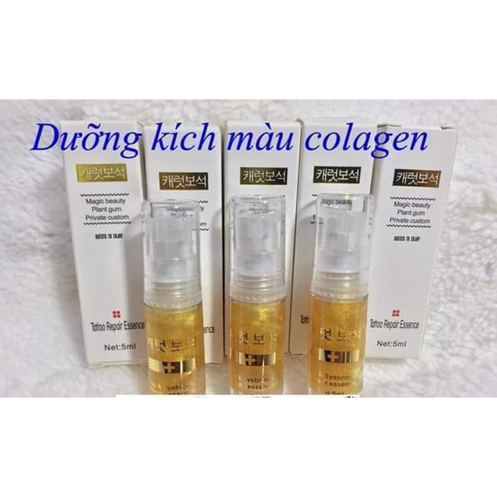 dưỡng tinh chất collagen vàng Hàn Quốc chăm sóc mày môi phun xăm