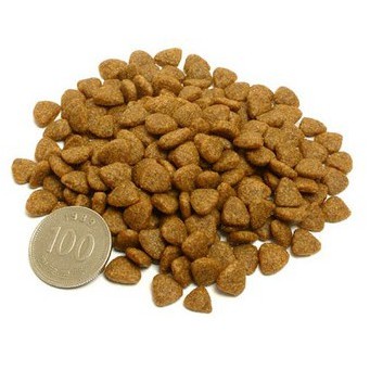 Thức ăn cho mèo con Catsrang 400g Hạt cho mèo con Kitten - CAOHOANGHIEP
