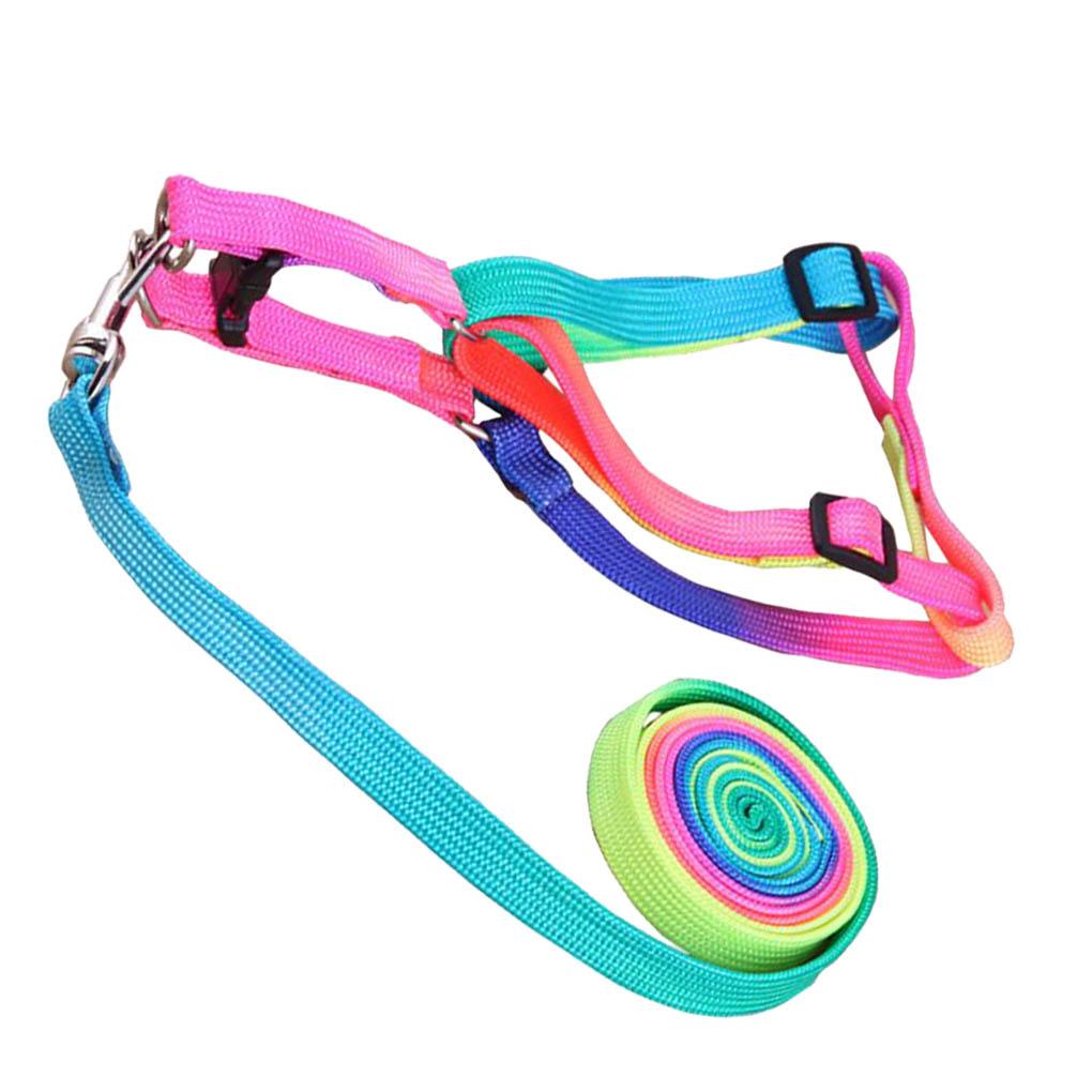 Bộ Dây Dắt Thú Cưng Đi Dạo Bằng Nilon Nhiều Màu Tùy Chỉnh Tiện Dụng