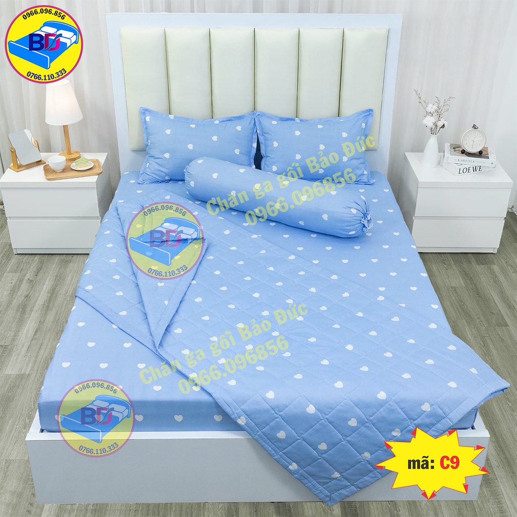 Bộ ga gối cotton poly, ga trải giường kèm 2 vỏ gối nằm và 1 vỏ gối ôm