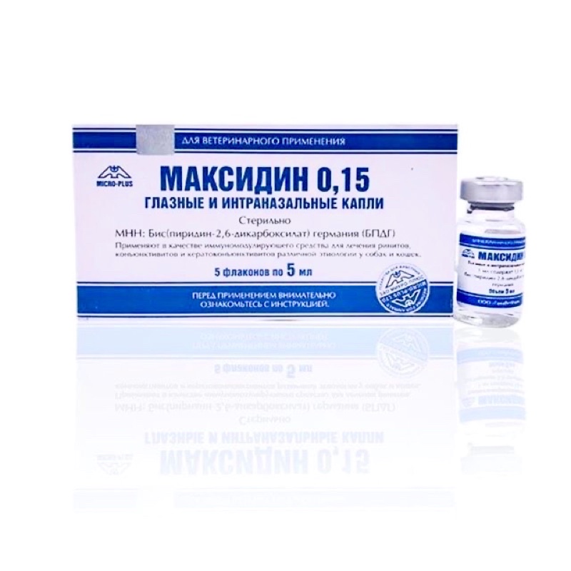 Thuốc nhỏ mắt mũi Maxidin 0,15 hỗ trợ hô hấp và sổ mũi cho chó mèo - nhập Nga (hộp 5 lọ)