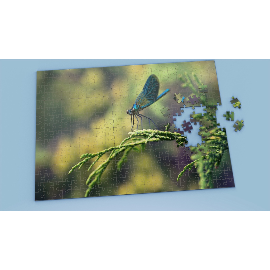 Tranh ghép hình DRAGONFLY - Mẫu 3 - Nhận in theo yêu cầu