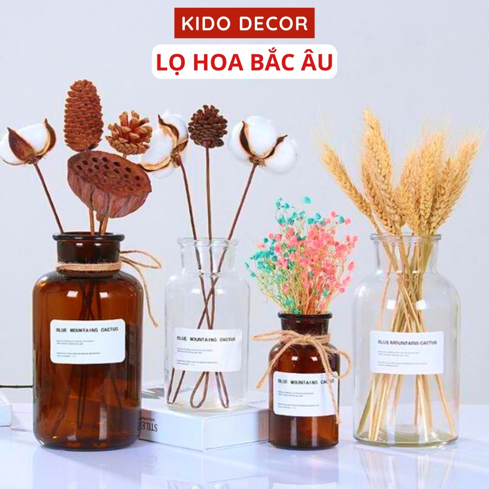 Lọ Hoa Thủy Tinh Decor, Bình Hoa Trang Trí Dán Sticker Bắc Âu Đẹp KIDO