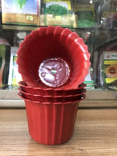 Chậu nhựa tròn xếp