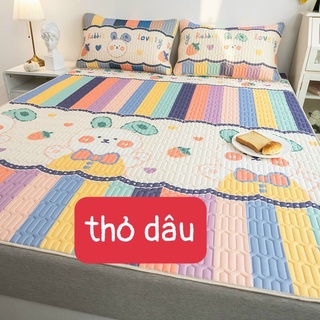 Chiếu điều hòa cao su non Decor 4.0