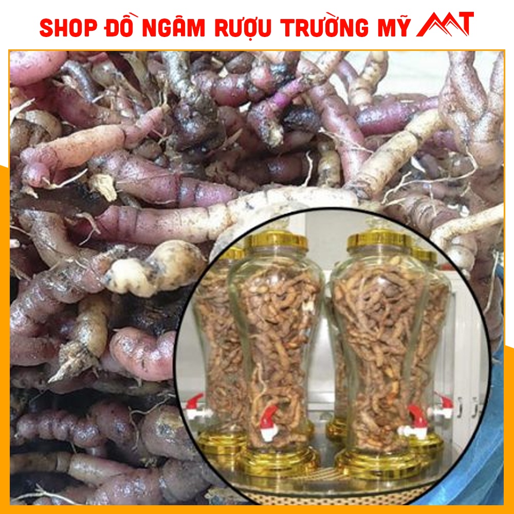 Ba kích tươi Quảng Ninh đã tách sẵn rửa sạch hút chân không và bỏ lõi