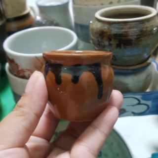 Ly gốm sứ nhật trồng sen đá