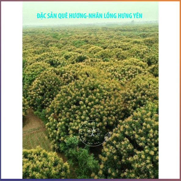 Mật ong nhãn hưng yên 1,4kg dung tích 750mml mật ong nguyên chất đặc sản hưng yên