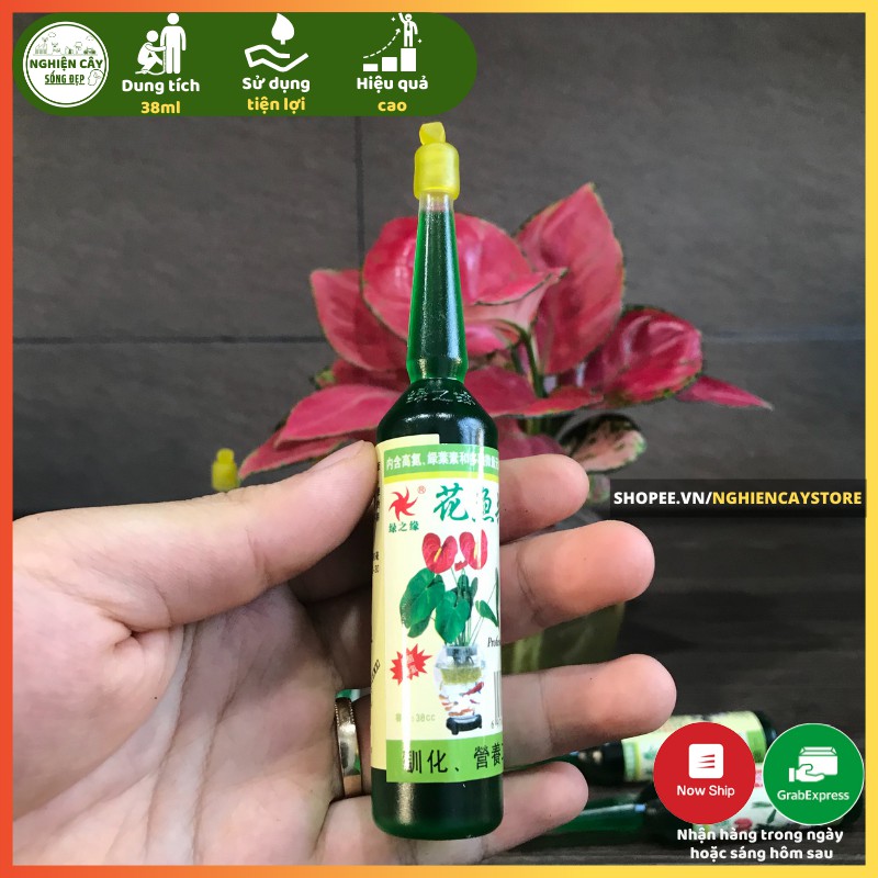 Dung dịch thuỷ canh chuyên dụng cho hoa, cây cảnh hiệu quả cao 38ml