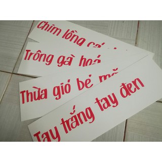 Flashcard trắng cụm từ, câu (100 thẻ)