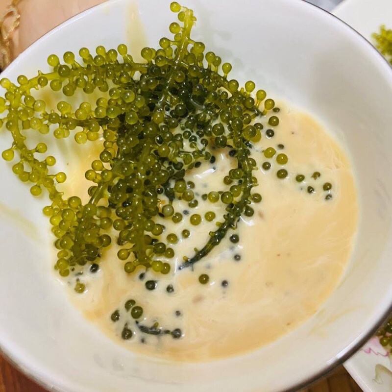 [HỎA TỐC SG] Nước xốt mè rang Kewpie ăn kèm rong nho trộn salad cực thơm ngon gói 15ml-50ml