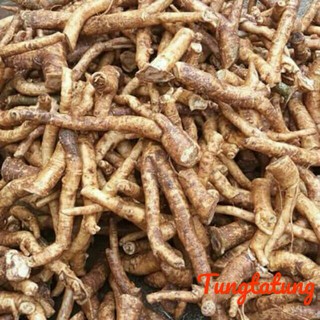 Rễ đinh lăng nếp rời tươi [1kg]