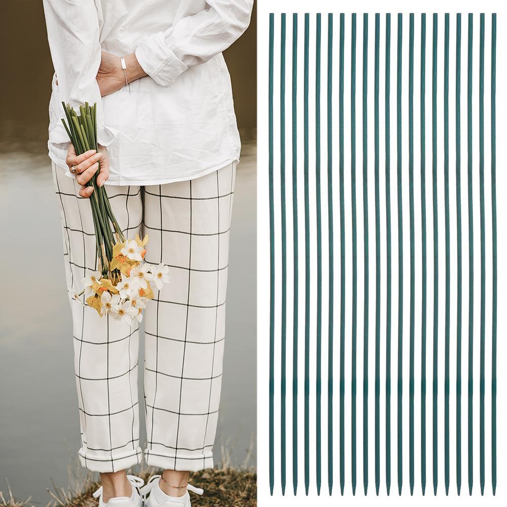 BEAUTY 10 / 30 Gậy Hỗ Trợ Trồng Cây Dây Leo Tiện Lợi