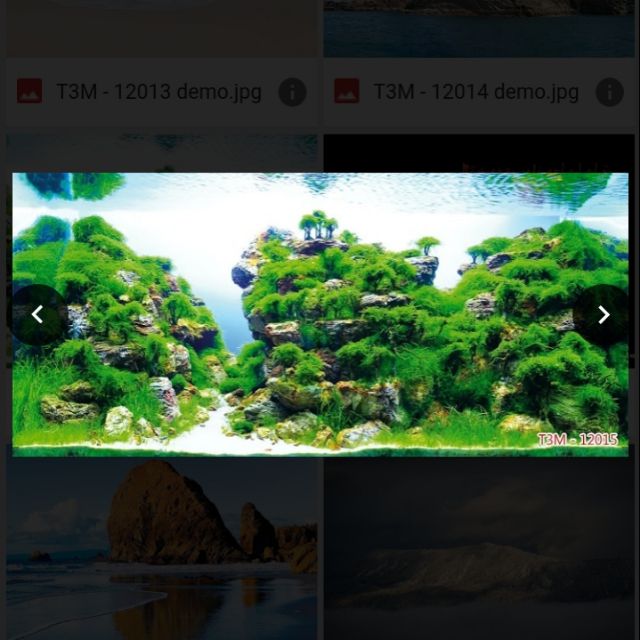 Tranh dán bể cá cảnh 3D