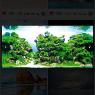 Tranh dán bể cá cảnh 3D