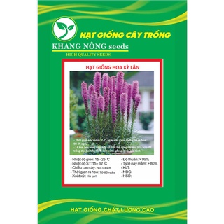 Hạt giống hoa kỳ lân tím kns3689 - gói 20 hạt