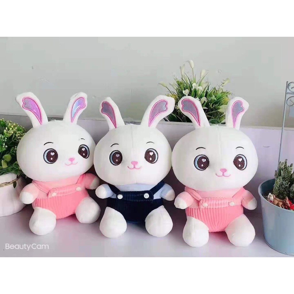 Bạch tuộc cảm xúc cute 20cm