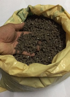 PHÂN GÀ NHẬT BẢN