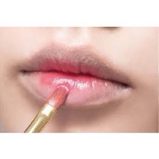 CỌ VẼ môi Ruixue Vàng