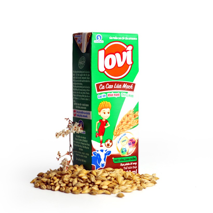 Sữa cacao lúa mạch Lovi Lothamilk (hộp lẻ 180ml)
