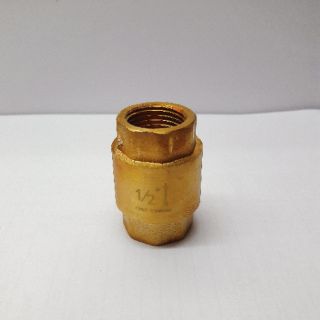 Lupe van 1 chiều lò xo đồng phi 21