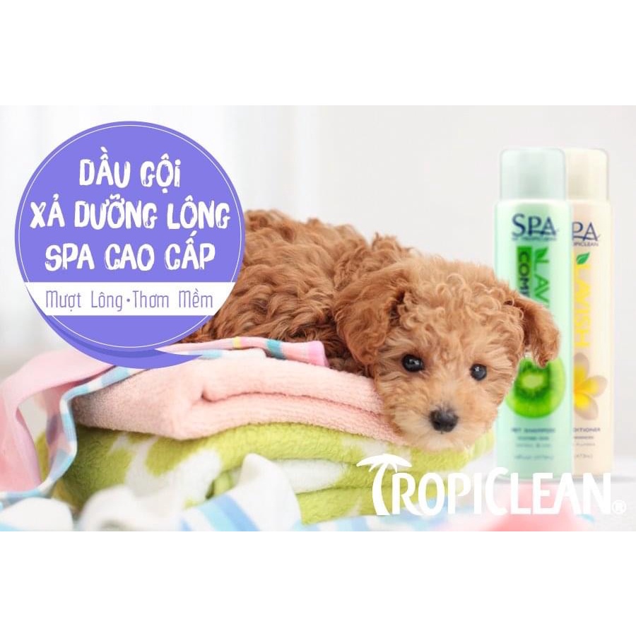 148ml - TROPICLEAN - DẦU GỘI DƯỠNG LÔNG HƯƠNG KIWI SPA COMFORT Sữa tắm cho chó dưỡng lông bóng mượt