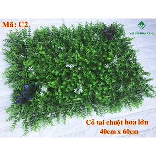 Cỏ tai chuột điểm hoa C2 giá rẻ