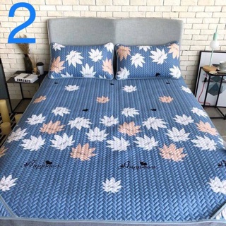 Chiếu điều hoà tencel 1,6x2m