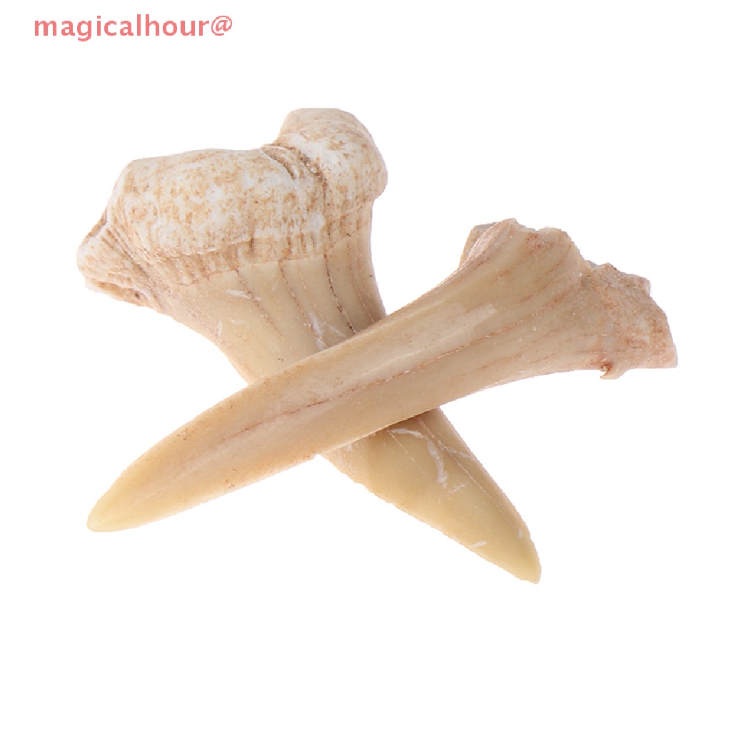 Mặt Dây Chuyền Hình Răng Cá Mập Bằng Khoáng Chất Tự Nhiên Mới