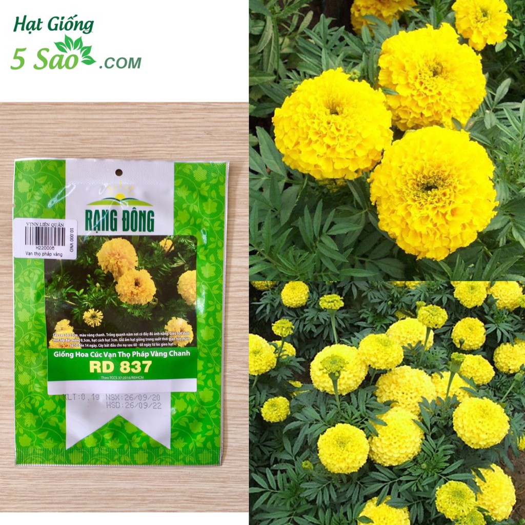 VẠN THỌ PHÁP VÀNG CHANH RĐ 837 (1gr)