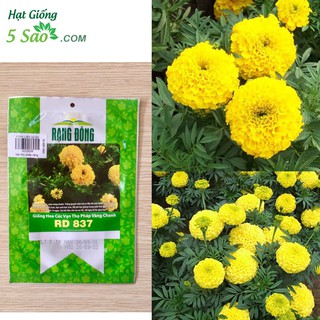 VẠN THỌ PHÁP VÀNG CHANH RĐ 837 (1gr)
