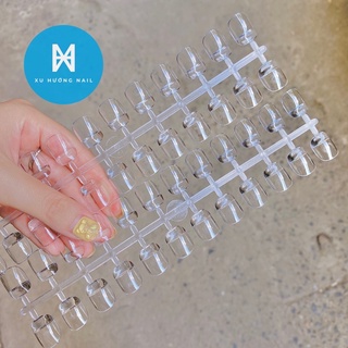 Móng mẫu mới - Móng sơn mẫu (240 móng)