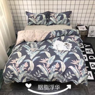 COTTON 40S HÀNG HỘP